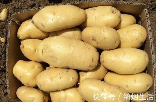 保存土豆别再放冰箱！教你三个储存方法，土豆放一年不发芽不坏