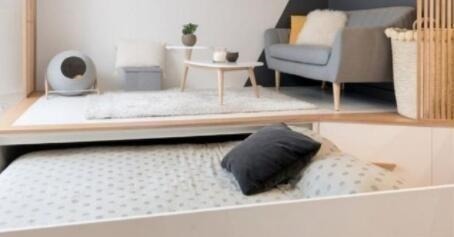 苏明玉|单身小姐姐为方便,在20㎡小房处处“挖坑”,随手一掀就是惊喜!