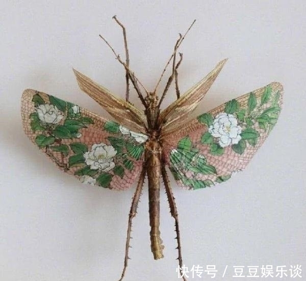 螳螂@美术大神太无聊,昆虫身上画小画,看到莲花螳螂,这脑洞绝了!