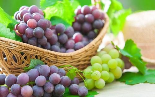 气血|女人补气血吃什么好呢？建议大家这4种食物或可多吃点