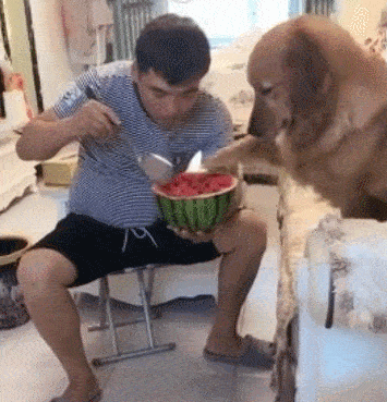 |搞笑GIF趣图:你这是想让垃圾桶背你回去?喝大了吧