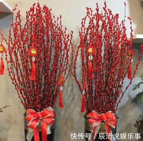“4种花卉”生意人偷着养，自己发财不告诉别人，摆在家中能发家