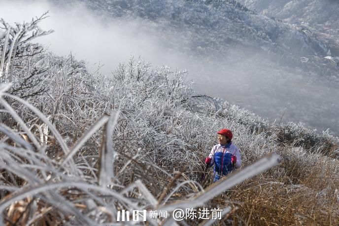 摄友|你在北方的冬天里看雪景，我在南方的冬天里看秋景