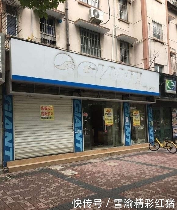 网上购物|我国实体店均被电商打败，为何发达国家的实体店“不怕”电商？