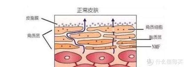 芙丽芳丝|油田肌大作战！盲撸不踩坑，12款男士清爽好物良心推荐！