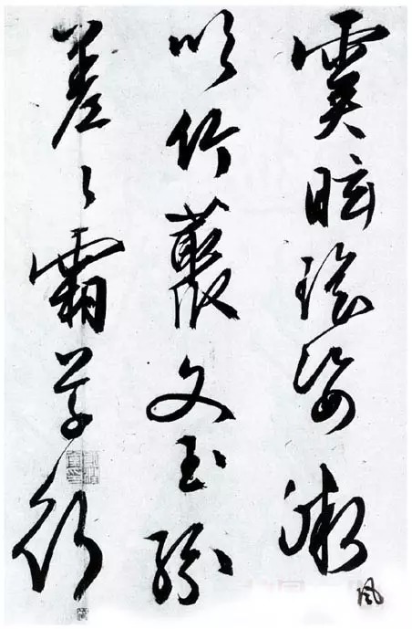 草书|文征明66岁的精妙草书!