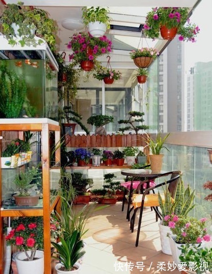 吊兰|贵州一户人家，阳台从不堆杂物，打造成小花园，邻居看了都羡慕
