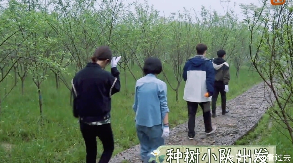 三轮车|张艺兴开三轮车险些伤到何炅,杨紫第一反应引热议:活该你红