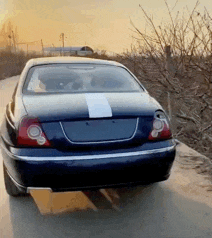 |搞笑GIF:让你们见识见识什么才叫真正的速度