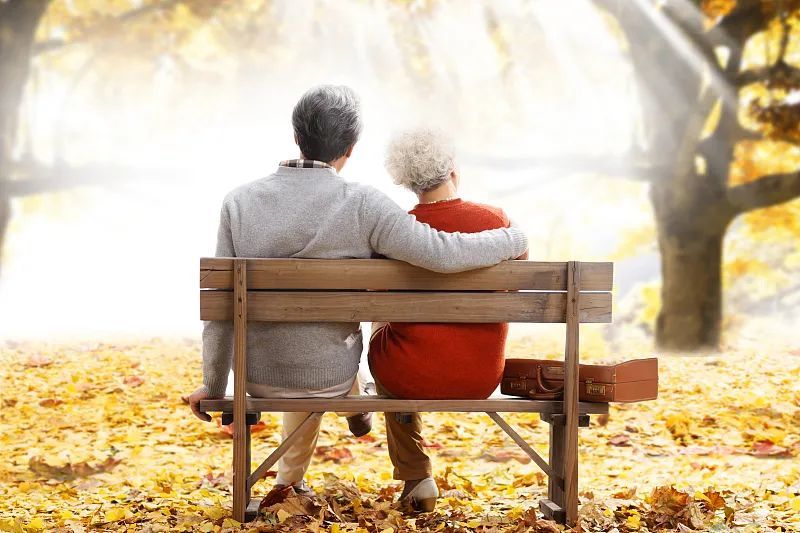 传统节日|知药善用 九九重阳话养生