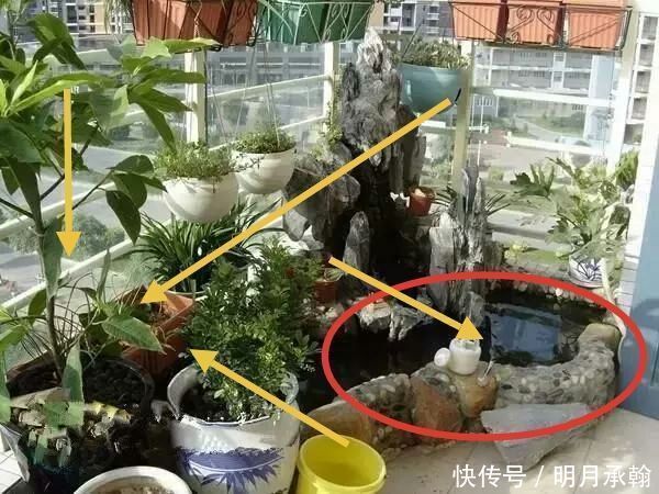 泡泡茶|越来越多人阳台不用来晒衣服，我老婆阳台这样装，邻居都夸她能干