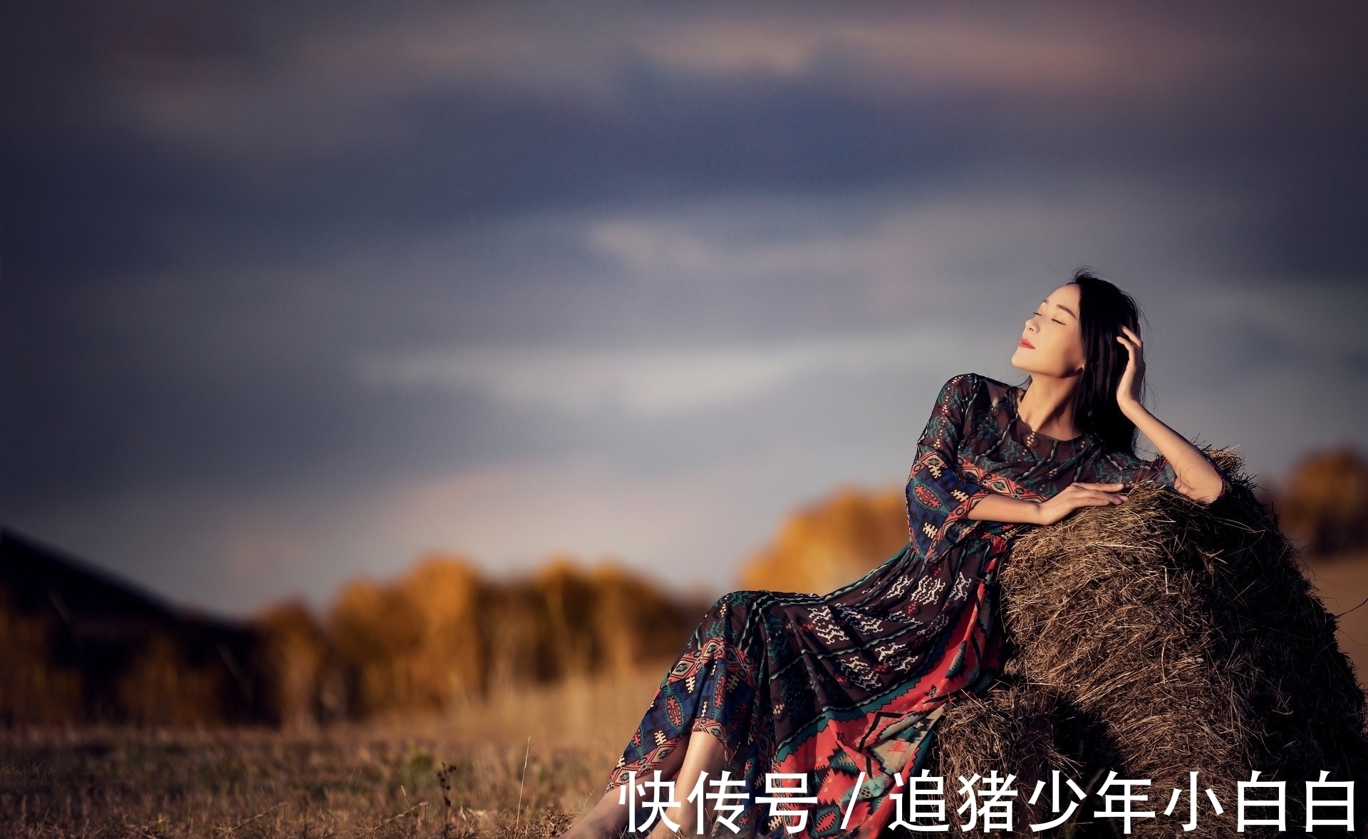 雪飞!词·八阕丨幻梦无痕焉可顾,红香叠影凝冰露