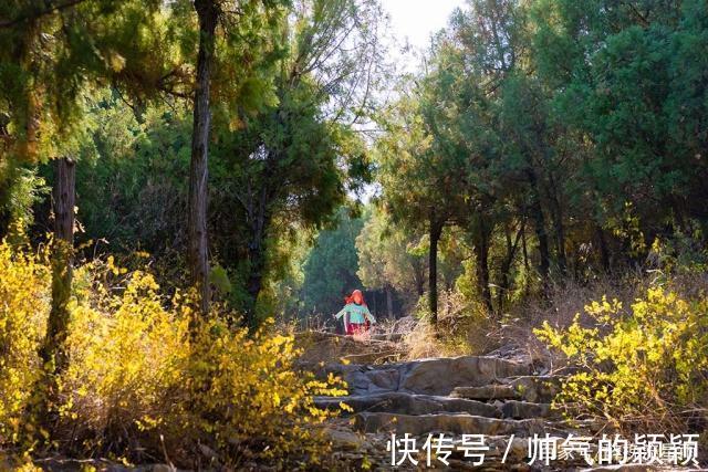 旧县|清幽胜景“虎窟禅寺”