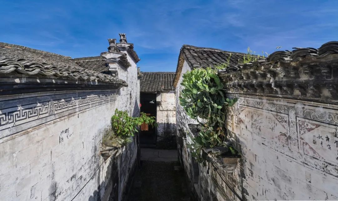 探索|缙云：探索千年古民居，感受江南秘境的魅力