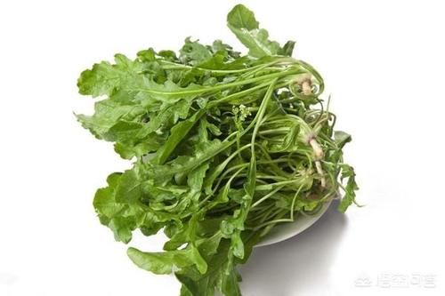 秦始皇时代的人们都吃些什么？主食蔬菜是如何烹饪的？