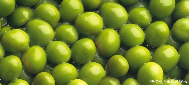 放在阳光|多肉总穿裙子,三个小动作催香气,憋白根冒侧芽,养成群生老桩