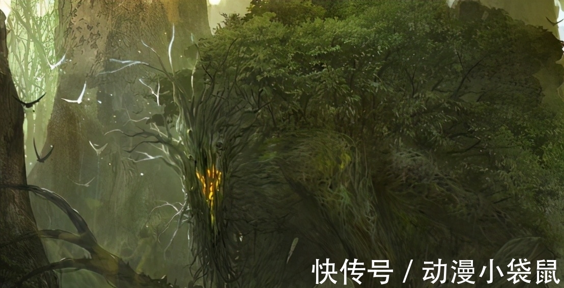 青雉|海贼王大将绿牛揭晓!曾是草帽团的恩人,没有他差点出不了东海?