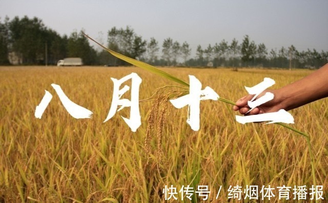明天八月十三,俗语收不收,就看八月十三,