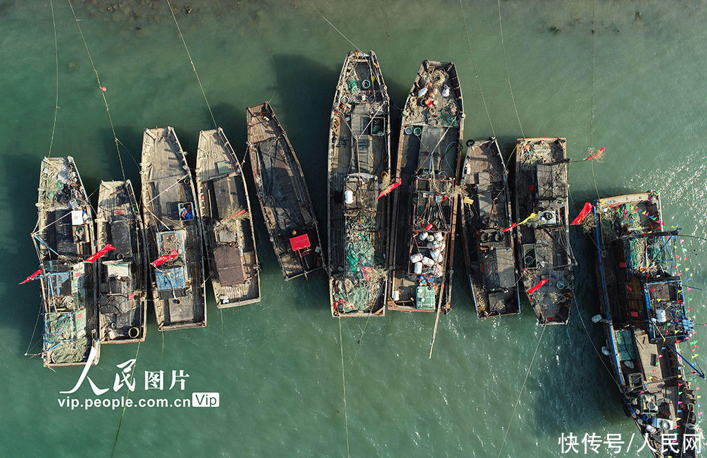 江苏连云港:早春二月备春捕