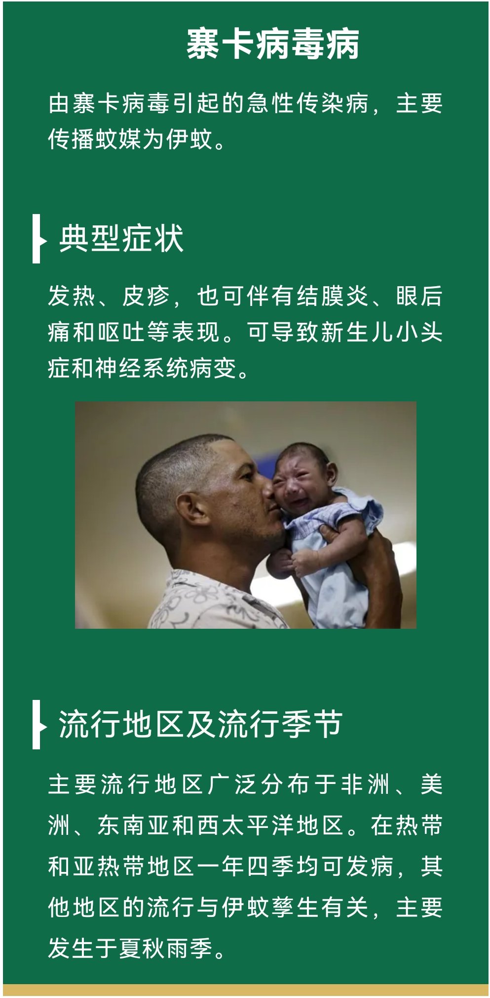 蚊子|转发给身边人！蚊子为什么总咬你？夏天如何防蚊？干货来了！