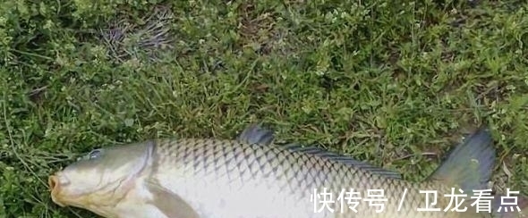 冬季钓鱼,这4种晴天没鱼吃钩,不要去浪费时间!