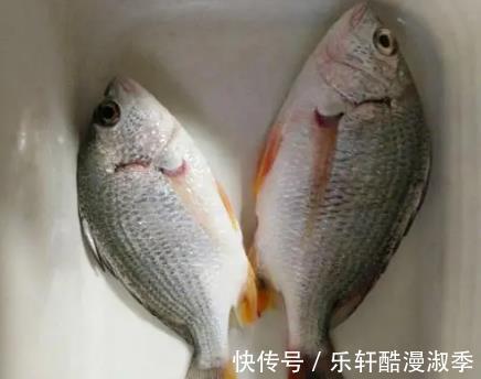 开海后，优先选择这四种海鱼，肉多刺少营养高，很适合老人和孩子