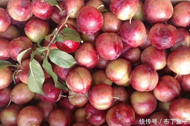 抗癌|常吃的4种抗癌水果，“草莓”上榜，最后一种是老中医最爱吃的！