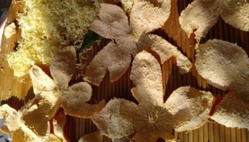 橘子|自制冬日养生甜品——橘子果冻