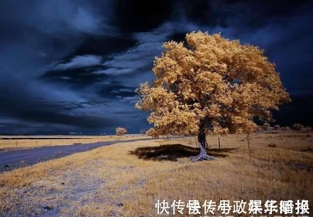 唐汝询@岑参最出色七绝唐诗,第3句7字被评“此句人人道好”