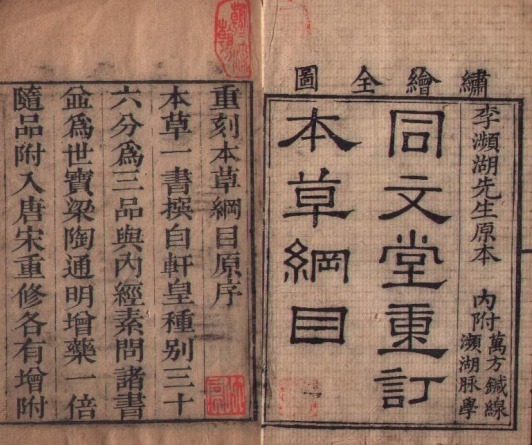 湿疹|《本草纲目》中治疗湿疹相关的中草药