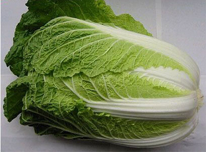 西葫芦西葫芦|感冒咳嗽吃什么蔬菜好得快