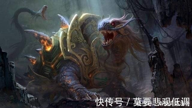 乌龟&古人挖井时,为何会先在井底放只乌龟?并非迷信而是出于科学考虑