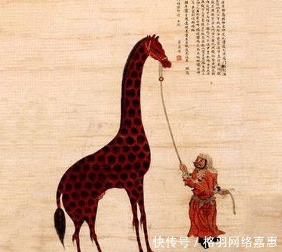 皇帝|郑和送皇帝一动物，被皇帝当宝贝养着，现代人却捧腹大笑