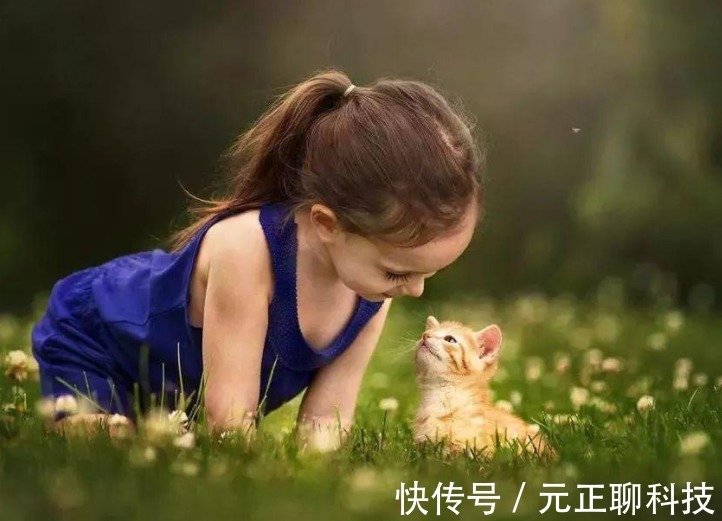 语言能力|宝宝什么时候会喊“妈妈”这个月龄之前喊出来,说明智力发育好