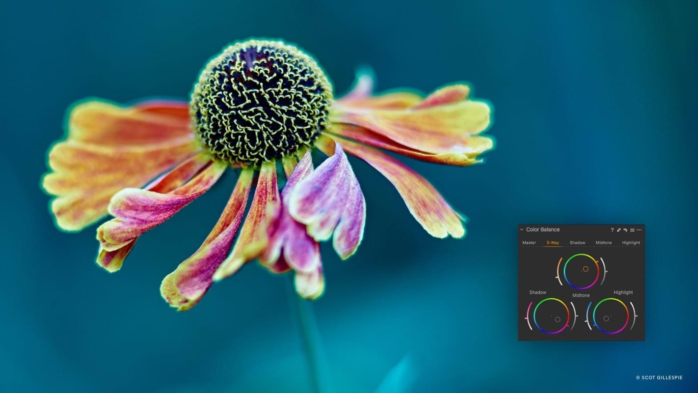 Capture One 21 Pro for Win v14.4.0.101 简体中文破解版