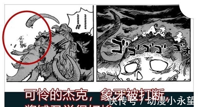 九侠|海贼王991话分析分析:杰克的象牙被打断,凯多的巨龙嘴巴被弄伤