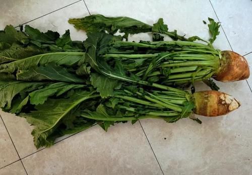 芥菜疙瘩怎么腌制？