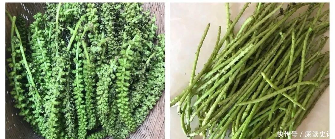 农村的6种花,烙饼子、炒菜、炖汤···再晚没得吃了!