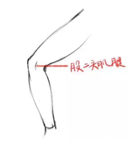 结构简|怎样才能画好人物腿部结构?零基础小白必看的干货教程