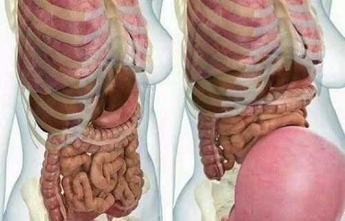 膀胱|怀孕280天,孕妇的内脏都去哪了?一张图告诉你“妈妈的伟大”