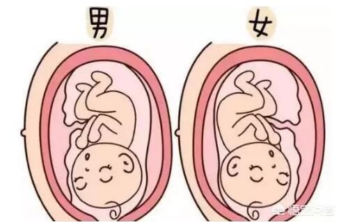 怀孕胎儿位置在前壁后壁有什么不同吗？