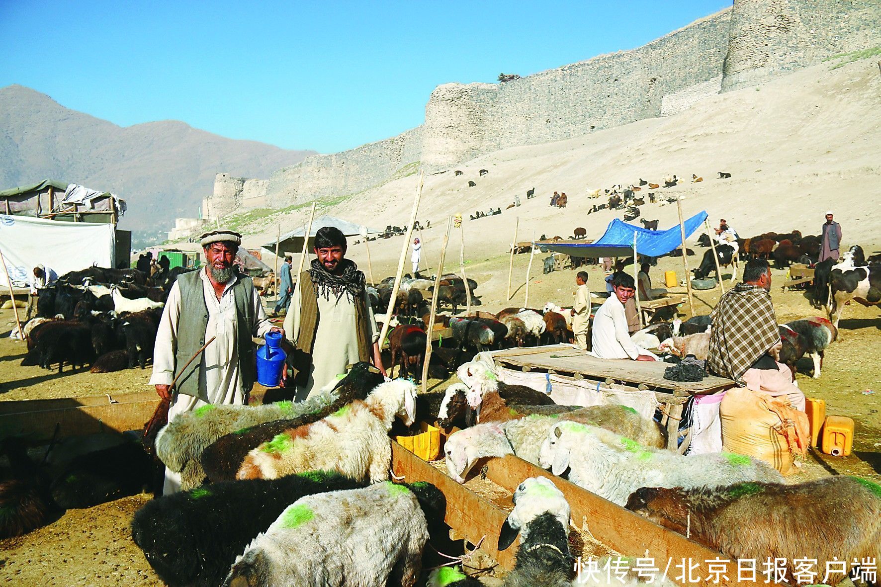 玄奘|古代阿富汗为何成为帝国交锋之地？哪些书可以更好了解阿富汗