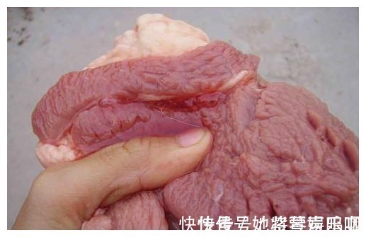 炒肉时用“前腿肉”，还是用“后腿肉”？只有少数人选对了
