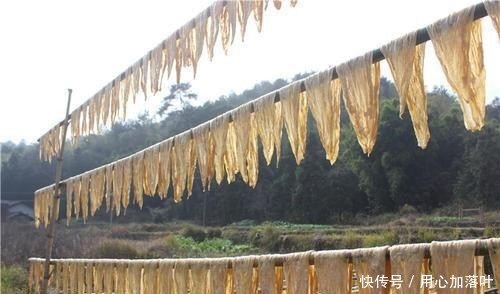 致富路|阳埠腐竹——从木棚作坊走上致富路