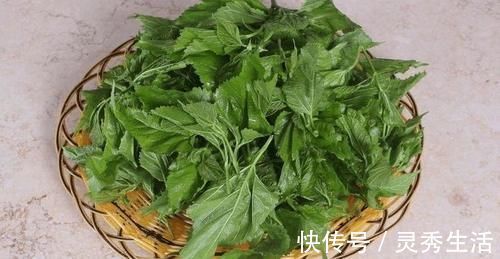 清热解毒|想长寿,推荐常吃3种食物,防止老年痴呆,清热解毒,排毒养颜