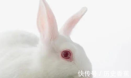 果冻|世界上的47个冷知识,您知道几个?