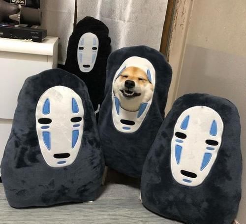 coser|柴犬“戏精”上身,各种COSPLAY神还原,柴犬:还有更难的吗?
