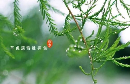 雨水#【二十四节气·雨水】好雨知时节 当春乃发生