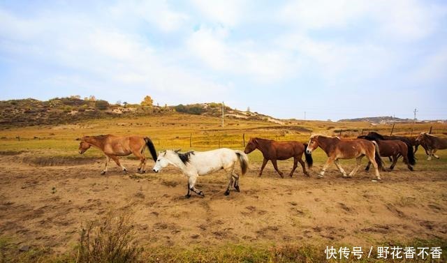 深度|生活没有苟且(深度美文)