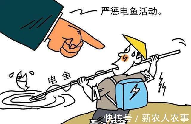 渔业|广东一男子户外野钓，电鱼人直接从面前走过，网友：为啥不报警？